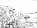 Baja Sketch