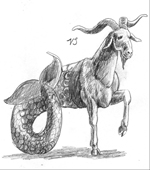Capricorn