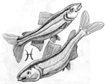 Pisces