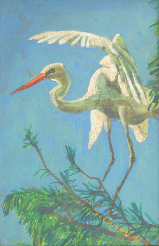 Stork