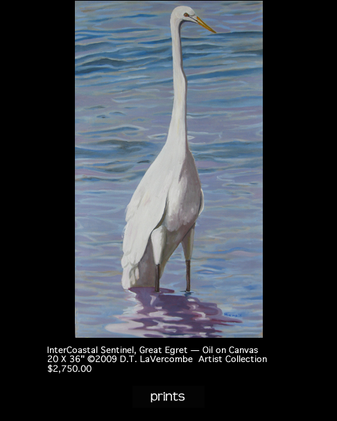 Great Egret